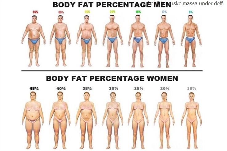 Behålla muskelmassa under deff