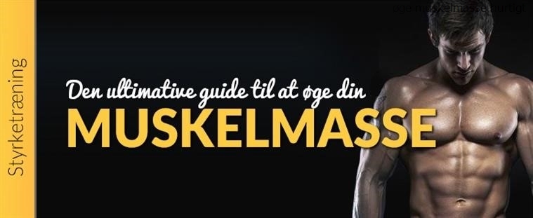Øge muskelmasse hurtigt