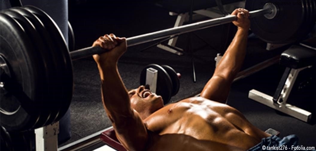 Muskelmasse und kraft